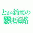 とある鈴鹿の競走道路（サーキット）