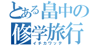 とある畠中の修学旅行（イチカワッテ）