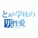 とある学校の男性愛（ゲイレイプ）