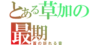 とある草加の最期（首の折れる音）