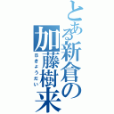 とある新倉の加藤樹来（Ｂきょうだい）