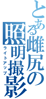 とある雌尻の照明撮影（ライトアップ）