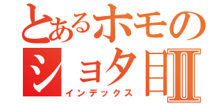 とあるホモのショタ目録Ⅱ（インデックス）