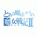 とある魔法少女の魔女戦記Ⅱ（タタカイ）