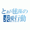 とある毬藻の求愛行動（悲しきあがき）