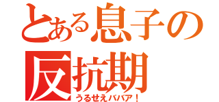 とある息子の反抗期（うるせえババア！）