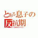 とある息子の反抗期（うるせえババア！）