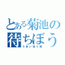 とある菊池の待ちぼうけ（うまい切り株）