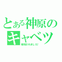 とある神原のキャベツ（栽培されました！）