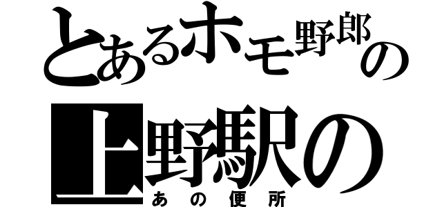 とあるホモ野郎の上野駅の（あの便所）