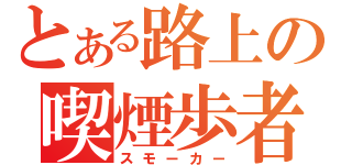 とある路上の喫煙歩者（スモーカー）