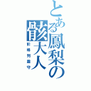 とある鳳梨の骸大人（彭格列霧守）