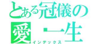 とある冠儀の愛你一生（インデックス）