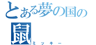 とある夢の国の鼠（ミッキー）