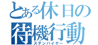 とある休日の待機行動（ステンバイヤー）