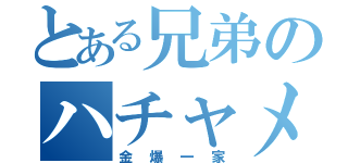 とある兄弟のハチャメチャ記録（金爆一家）