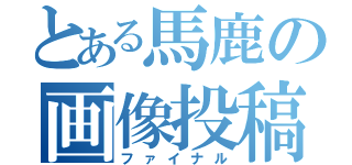 とある馬鹿の画像投稿（ファイナル）