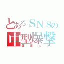 とあるＳＮＳの中型爆撃機（蓬莱人）