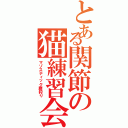 とある関節の猫練習会（マゾスティック膝狩り）