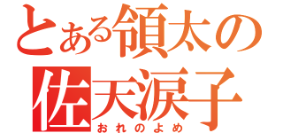 とある領太の佐天涙子（おれのよめ）