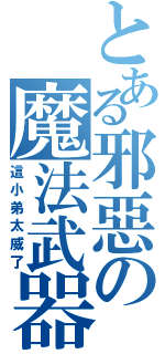 とある邪惡の魔法武器（這小弟太威了）