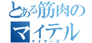 とある筋肉のマイテル（マイヤーズ）