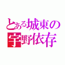 とある城東の宇野依存（）