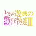 とある遊戲の瘋狂執迷Ⅱ（ＲＣ好棒）