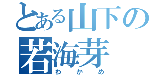 とある山下の若海芽（わかめ）