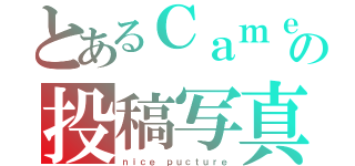 とあるＣａｍｅｒａｎの投稿写真（ｎｉｃｅ ｐｕｃｔｕｒｅ）