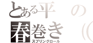 とある平の春巻き（・∀・）（スプリングロール）