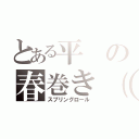 とある平の春巻き（・∀・）（スプリングロール）