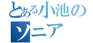 とある小池のソニア（）