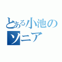 とある小池のソニア（）