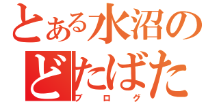 とある水沼のどたばた日記（ブログ）