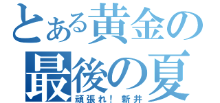 とある黄金の最後の夏（頑張れ！新井）