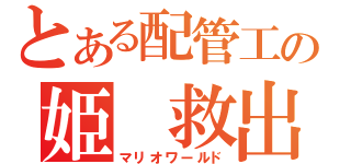 とある配管工の姫 救出劇（マリオワールド）