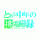 とある中年の挑電磁録（トライアル・ブログ）