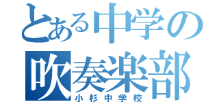 とある中学の吹奏楽部（小杉中学校）