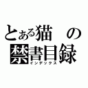 とある猫の禁書目録（インデックス）