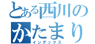 とある西川のかたまり（インデックス）