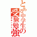 とある中学生の受験勉強（国語ニガテ）