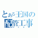 とある王国の配管工事士（マ リ オ）