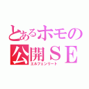 とあるホモの公開ＳＥＸ（エルフェンリート）