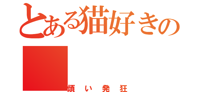 とある猫好きの（煩い発狂）