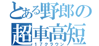 とある野郎の超車高短（１７クラウン）