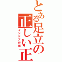 とある足立の正しい正（インドア野郎）