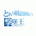 とある戦闘機の撃墜王（エースコンバット）