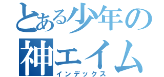 とある少年の神エイム（インデックス）