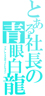 とある社長の青眼白龍（ブルーアイズホワイトドラゴン）